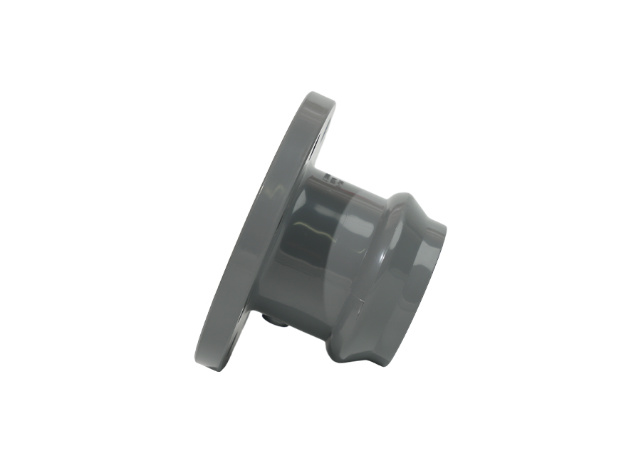 Socket LABIUM Socket LABIUM