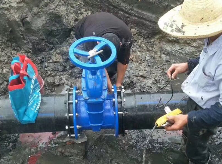 MMXXIII Jiangyin Xu Xiake oppidum Sewage amet Project