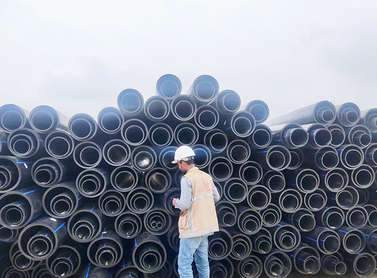 2022 Bangladesia nuclei potentiae Plantae Feedwater RESTITUTIO Project